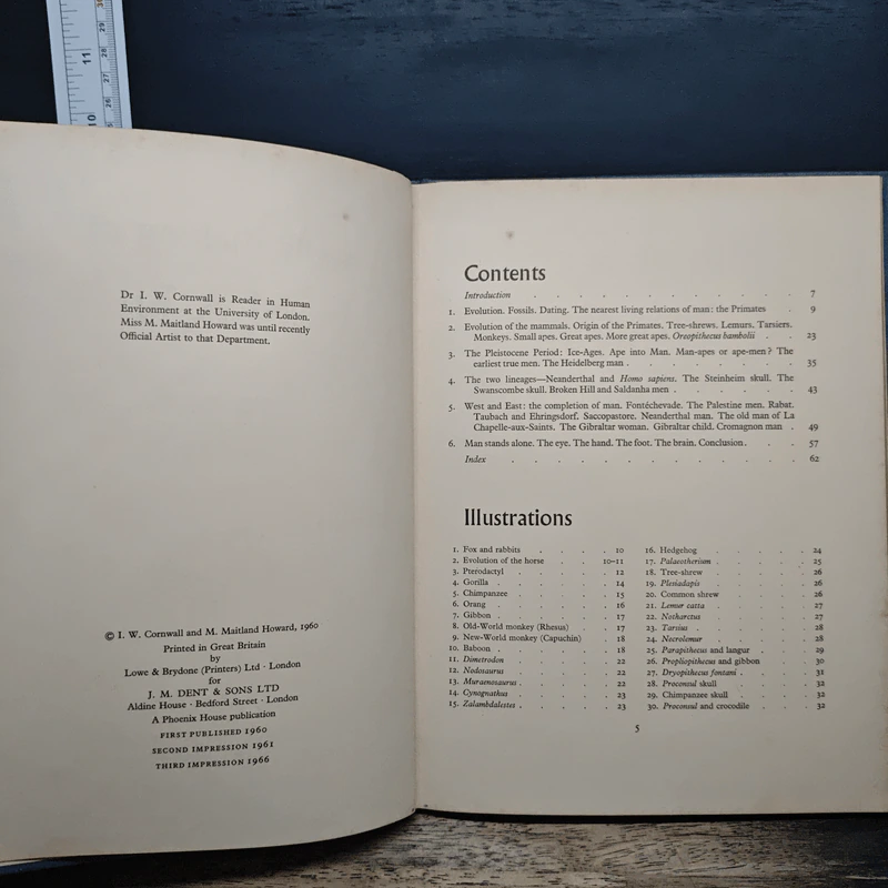 The Making of Man - Cornwall, Howard รูปที่ 7