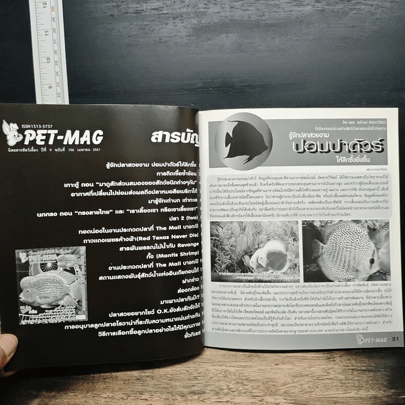 Pet-Mag นิตยสารสัตว์เลี้ยง ปีที่ 9 ฉบับที่ 106 เม.ย.2551 รูปที่ 7