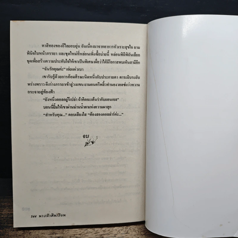 นางฟ้าคืนเรือน - เกษวดี รูปที่ 9