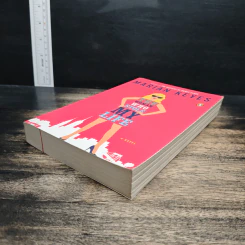 The Woman Who Stole My Life - Marian Keyes รูปที่ 4