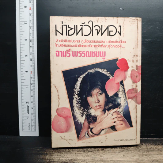 ม่ายหัวใจทอง - จามรี พรรณชมพู รูปที่ 2