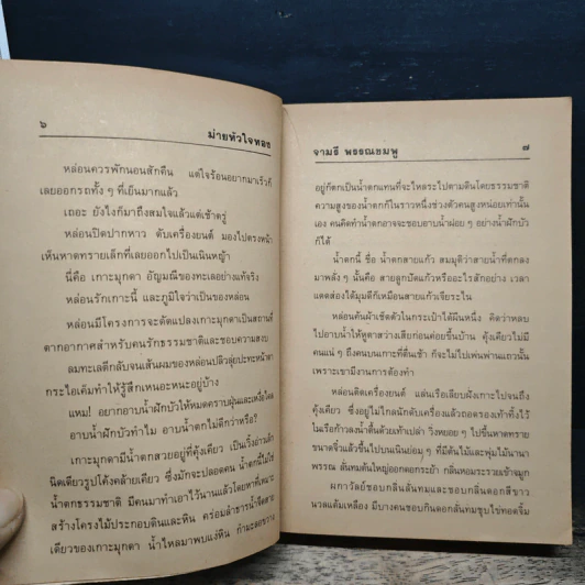 ม่ายหัวใจทอง - จามรี พรรณชมพู รูปที่ 8