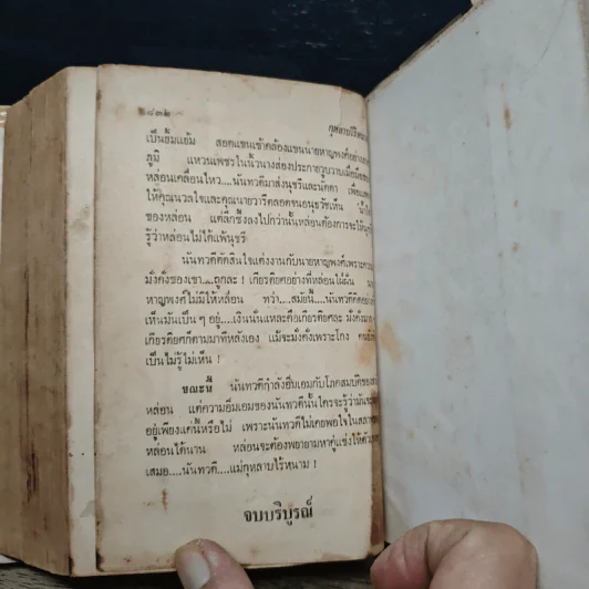 กุหลาบไร้หนาม - ศรีฟ้า ลดาวัลย์ รูปที่ 8