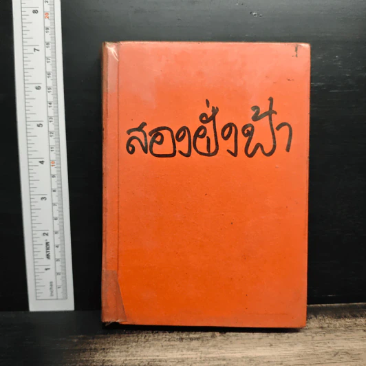 สองฝั่งฟ้า - นิดา รูปที่ 1