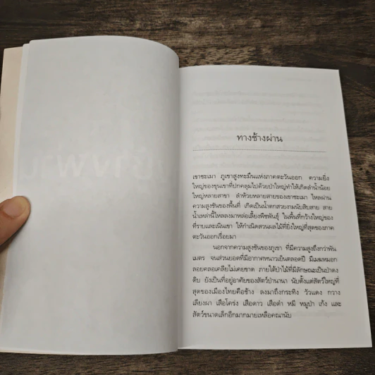 ทางช้างผ่าน - วัธนา บุญยัง รูปที่ 7