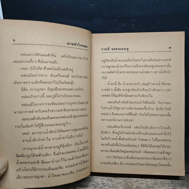 ม่ายหัวใจทอง - จามรี พรรณชมพู รูปที่ 8