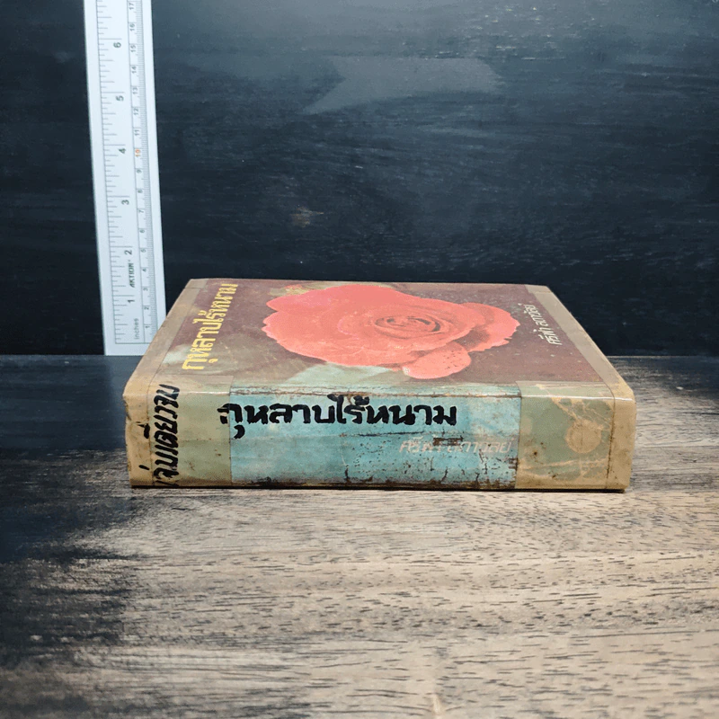 กุหลาบไร้หนาม - ศรีฟ้า ลดาวัลย์ รูปที่ 3