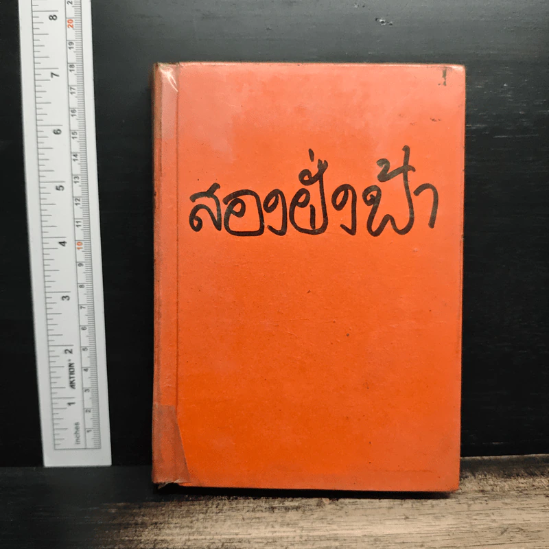 สองฝั่งฟ้า - นิดา รูปที่ 1