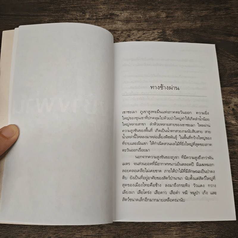 ทางช้างผ่าน - วัธนา บุญยัง รูปที่ 7