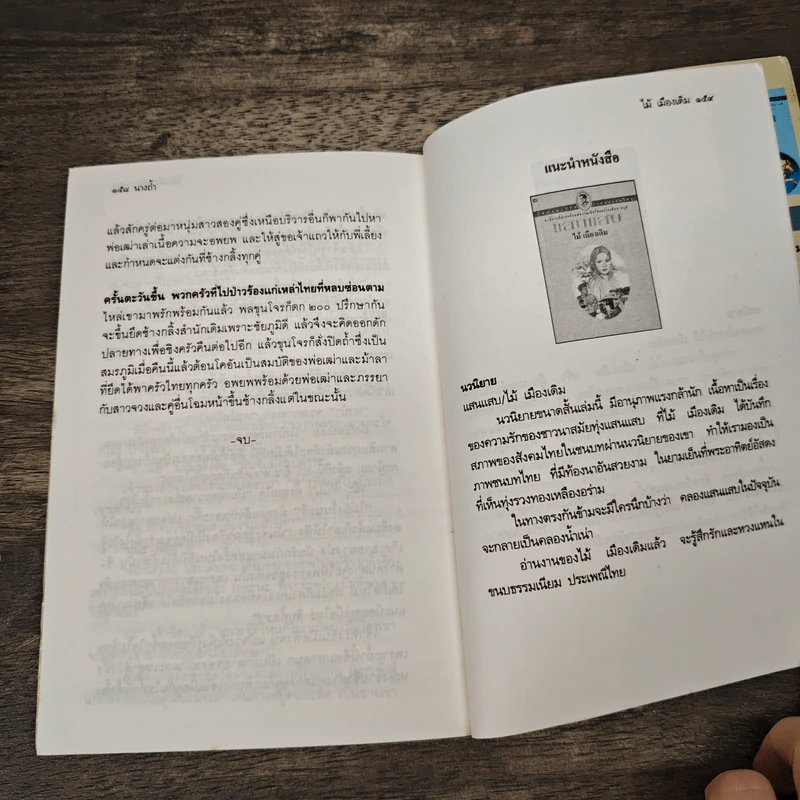 นางถ้ำ - ไม้ เมืองเดิม รูปที่ 8