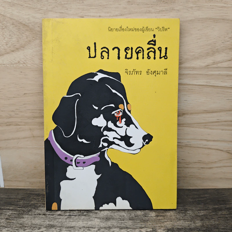 ปลายคลื่น - จิรภัทร อังศุมาลี รูปที่ 1