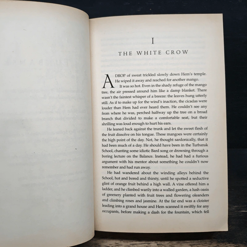 The Crow - Alison Croggon รูปที่ 10