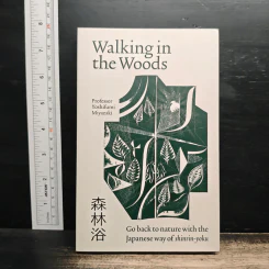 Walking in the Woods - Yoshifumi Miyazaki