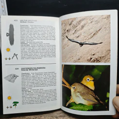 Simon & Schuster's Guide to Birds รูปที่ 12