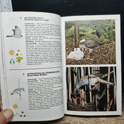 Simon & Schuster's Guide to Birds รูปที่ 11