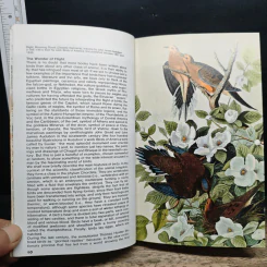Simon & Schuster's Guide to Birds รูปที่ 8