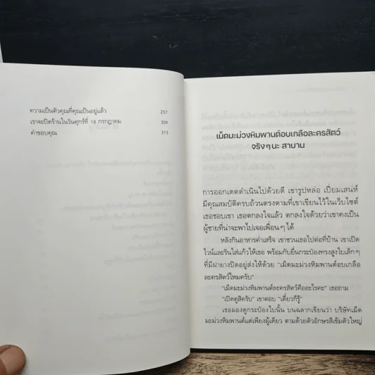 ใครสักคนที่จะรักทั้งเมื่องดงามและยามพังทลาย รูปที่ 8