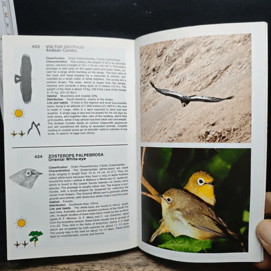 Simon & Schuster's Guide to Birds รูปที่ 12