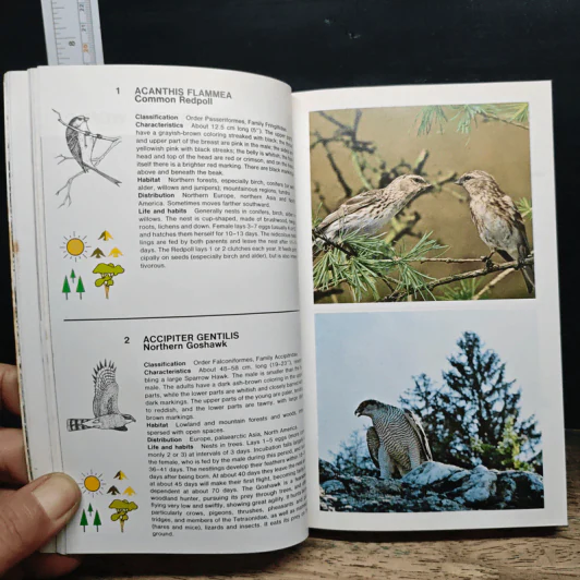 Simon & Schuster's Guide to Birds รูปที่ 10