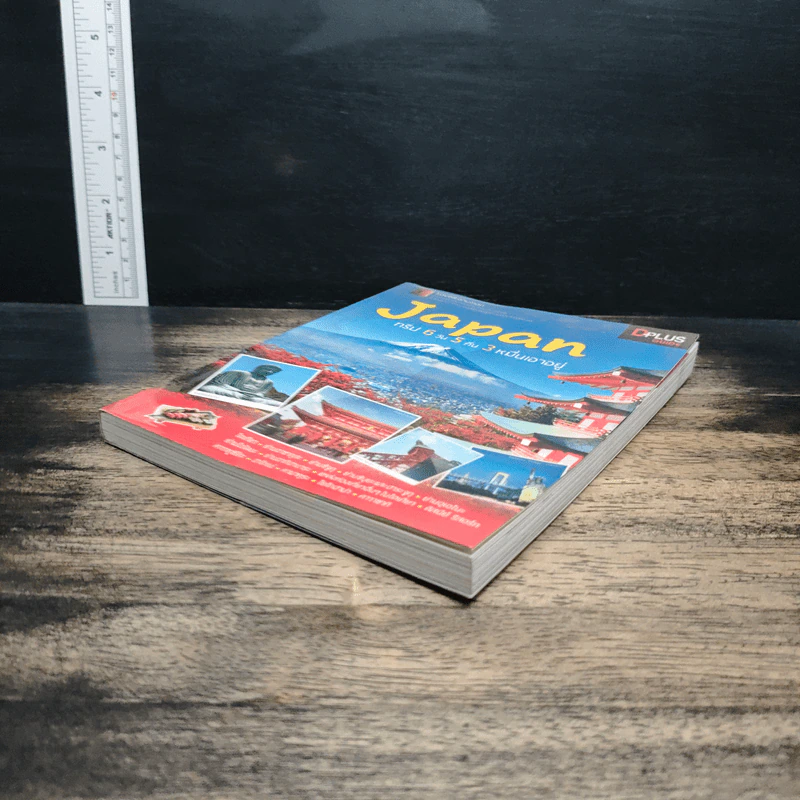 Japan ญี่ปุ่น ทริป 6 วัน 5 คืน 3 หมื่นเอาอยู่ - DPLUS GUIDE รูปที่ 4