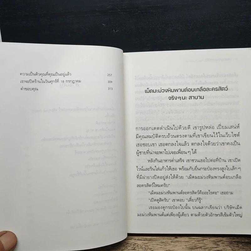 ใครสักคนที่จะรักทั้งเมื่องดงามและยามพังทลาย รูปที่ 8