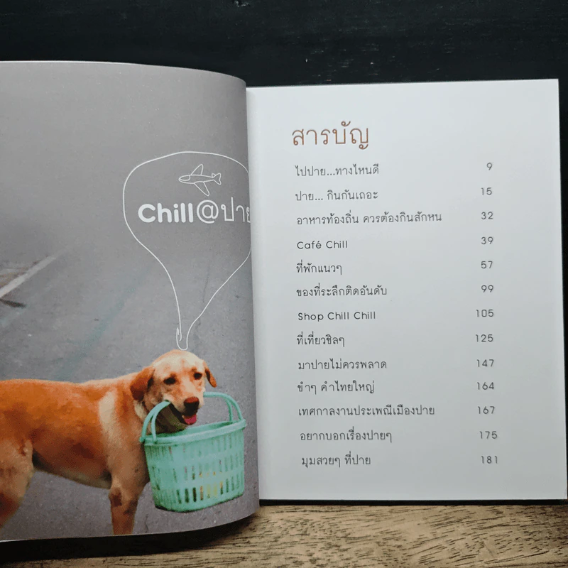 Chill@ปาย - Riki_KuNg รูปที่ 8