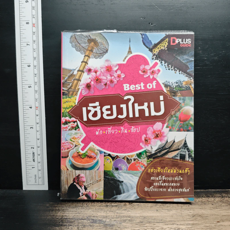 Best of เชียงใหม่ พัก เที่ยว กิน ช้อป - DPLUS GUIDE รูปที่ 1