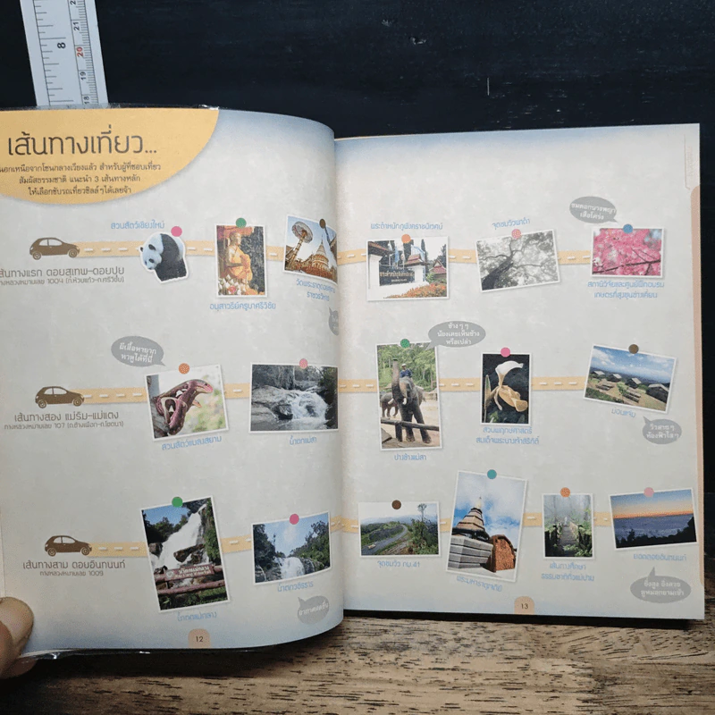Best of เชียงใหม่ พัก เที่ยว กิน ช้อป - DPLUS GUIDE รูปที่ 9