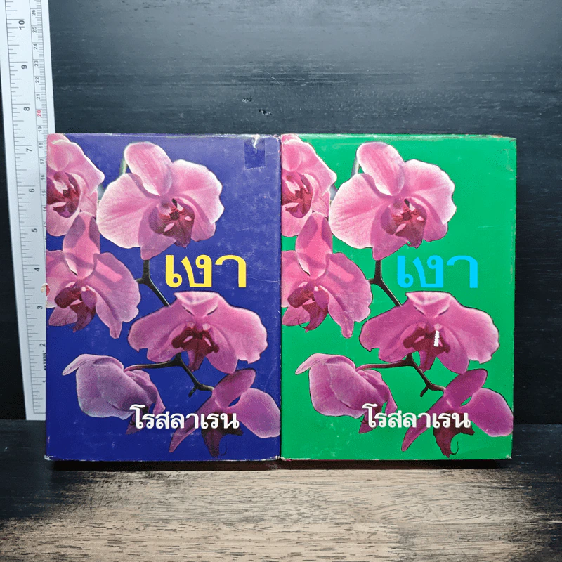 เงา 2 เล่มจบ - โรสลาเรน รูปที่ 1