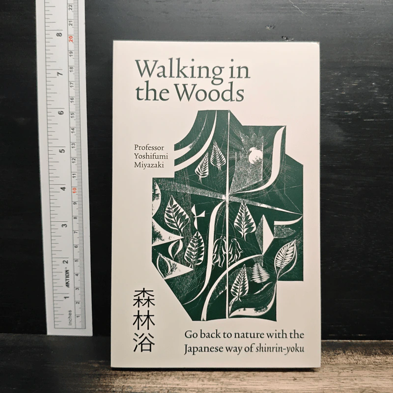 Walking in the Woods - Yoshifumi Miyazaki รูปที่ 1