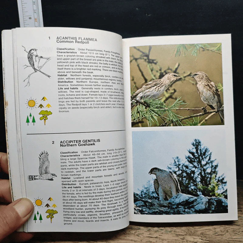 Simon & Schuster's Guide to Birds รูปที่ 10