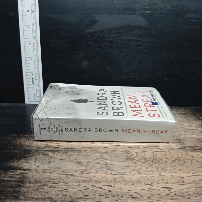 Mean Streak - Sandra Brown รูปที่ 3