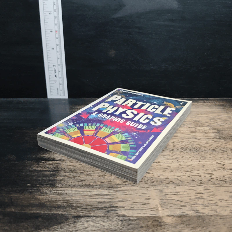 Introducing Particle Physics: A Graphic Guide - Tom Whyntie รูปที่ 4