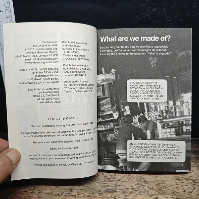 Introducing Particle Physics: A Graphic Guide - Tom Whyntie รูปที่ 6
