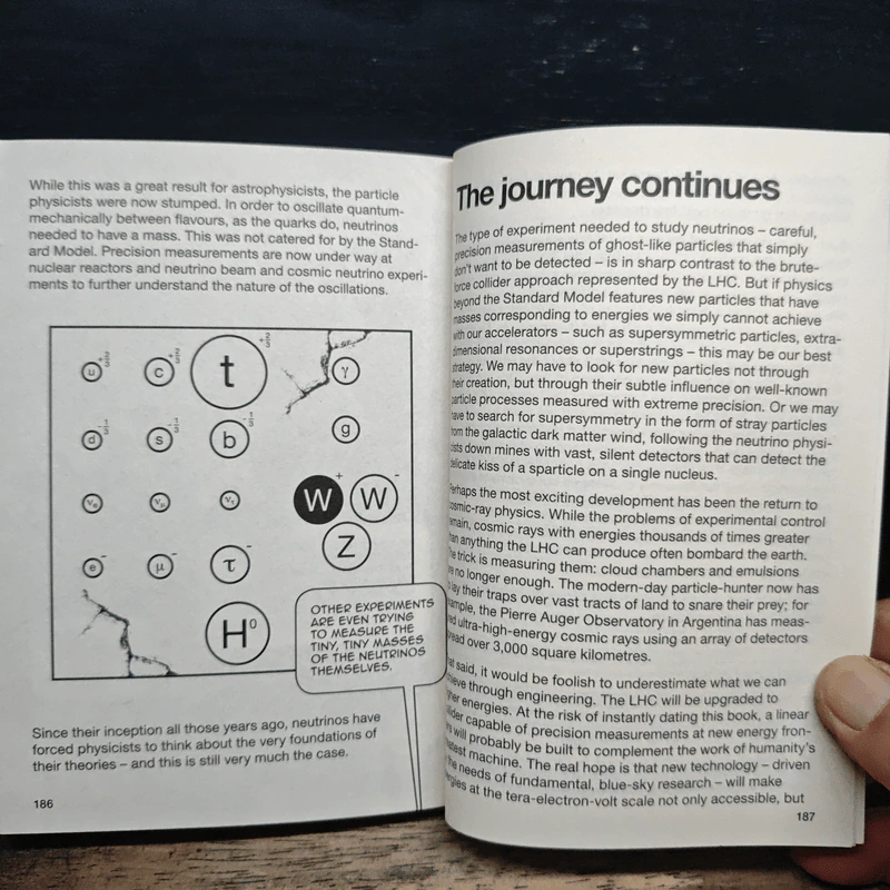 Introducing Particle Physics: A Graphic Guide - Tom Whyntie รูปที่ 9