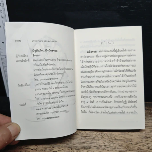 ปัจจุบันจิต ปัจจุบันธรรม - ธีรขณะ รูปที่ 6