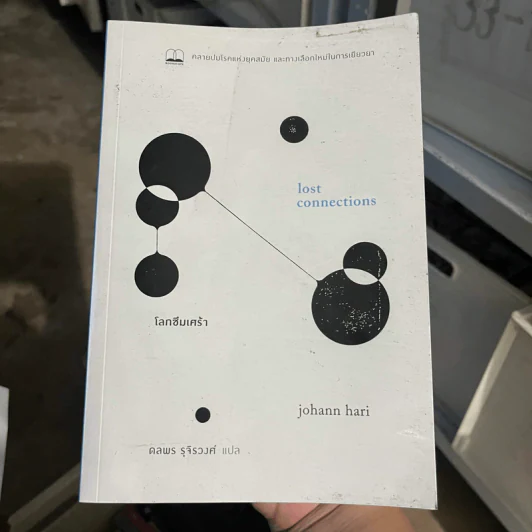 โลกซึมเศร้า Lost Connections - Johann Hari รูปที่ 1