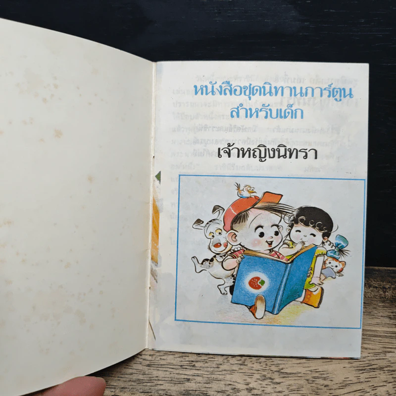 เจ้าหญิงนิทรา รูปที่ 6