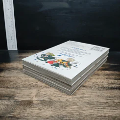 Aventura อเวนทูร่า เล่ม 1-3 รูปที่ 4