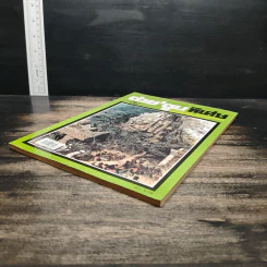 ต่วยตูนพิเศษ ปีที่ 25 ฉบับที่ 290 เม.ย.2542 รูปที่ 4