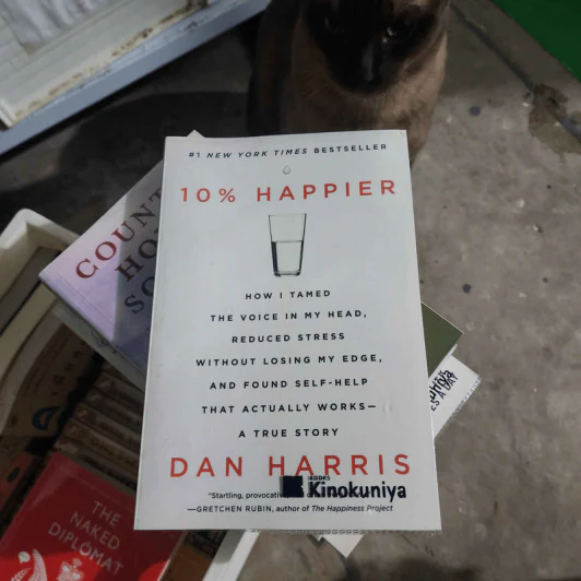 10% Happier - Dan Harris รูปที่ 1