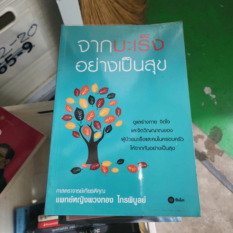 จากมะเร็งอย่างเป็นสุข - ศ. เกียรติคุณ พ.ญ. พวงทอง ไกรพิบูลย์ รูปที่ 1