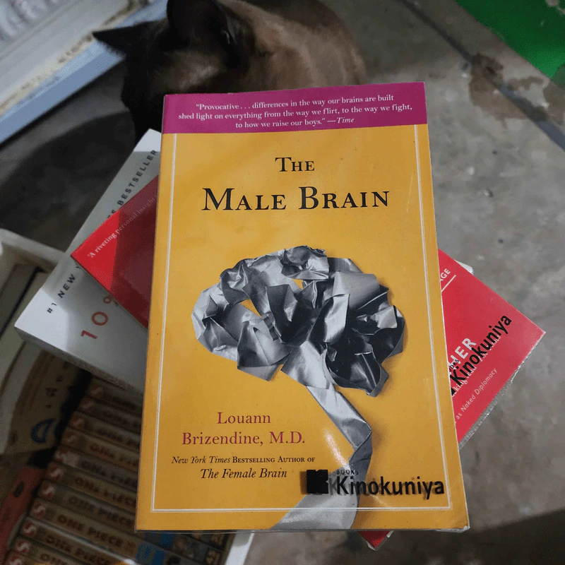 The Male Brain - Louann Brizendine รูปที่ 1