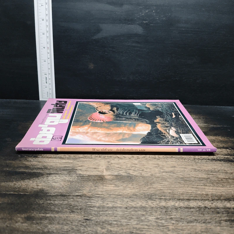 ต่วยตูนพิเศษ ปีที่ 25 ฉบับที่ 297 พ.ย.2542 รูปที่ 3