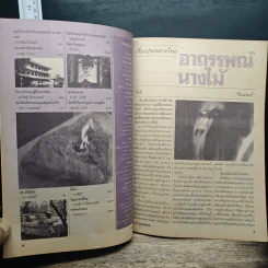 ต่วยตูนพิเศษ ปีที่ 22 ฉบับที่ 261 พ.ย.2539 รูปที่ 7