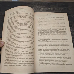 The Last Dragonlord - Joanne Bertin รูปที่ 6