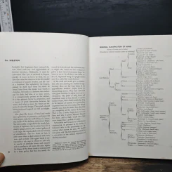 Atlas of Human Anatomy for the Artist - Stephen RogersPeck รูปที่ 10