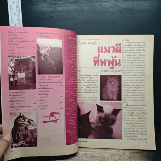 ต่วยตูนพิเศษ ปีที่ 23 ฉบับที่ 269 ก.ค.2540 รูปที่ 7