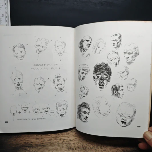 Atlas of Human Anatomy for the Artist - Stephen RogersPeck รูปที่ 14