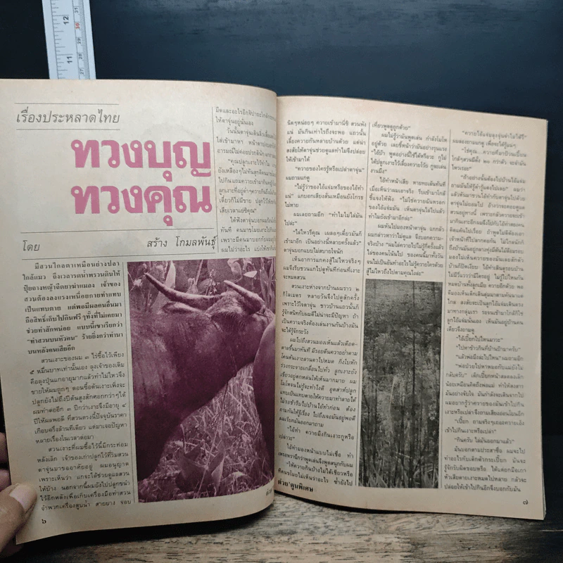 ต่วยตูนพิเศษ ปีที่ 23 ฉบับที่ 272 ต.ค.2540 รูปที่ 8